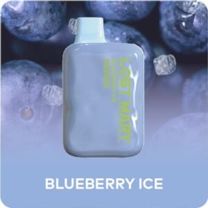 Blueberry Ice - Lost Mary Vape OS5000 50MG 10ml